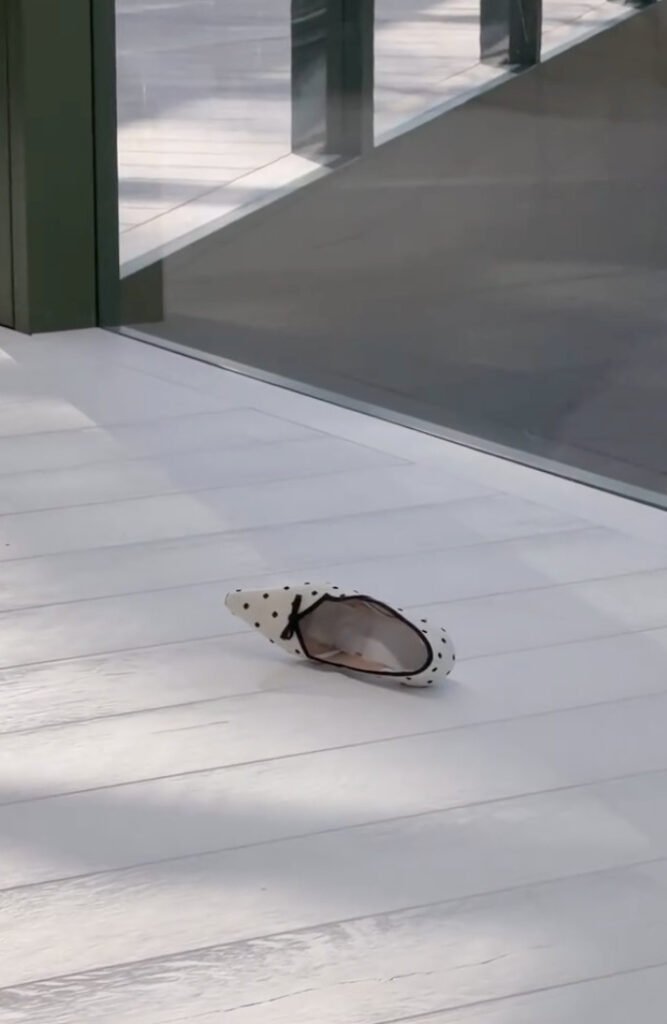 desfile Dior 2026